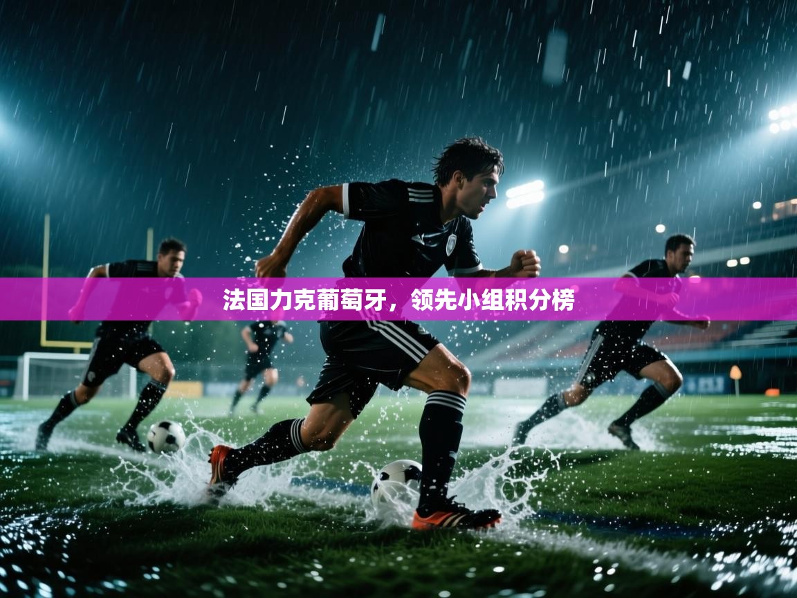 法国力克葡萄牙，领先小组积分榜  第1张