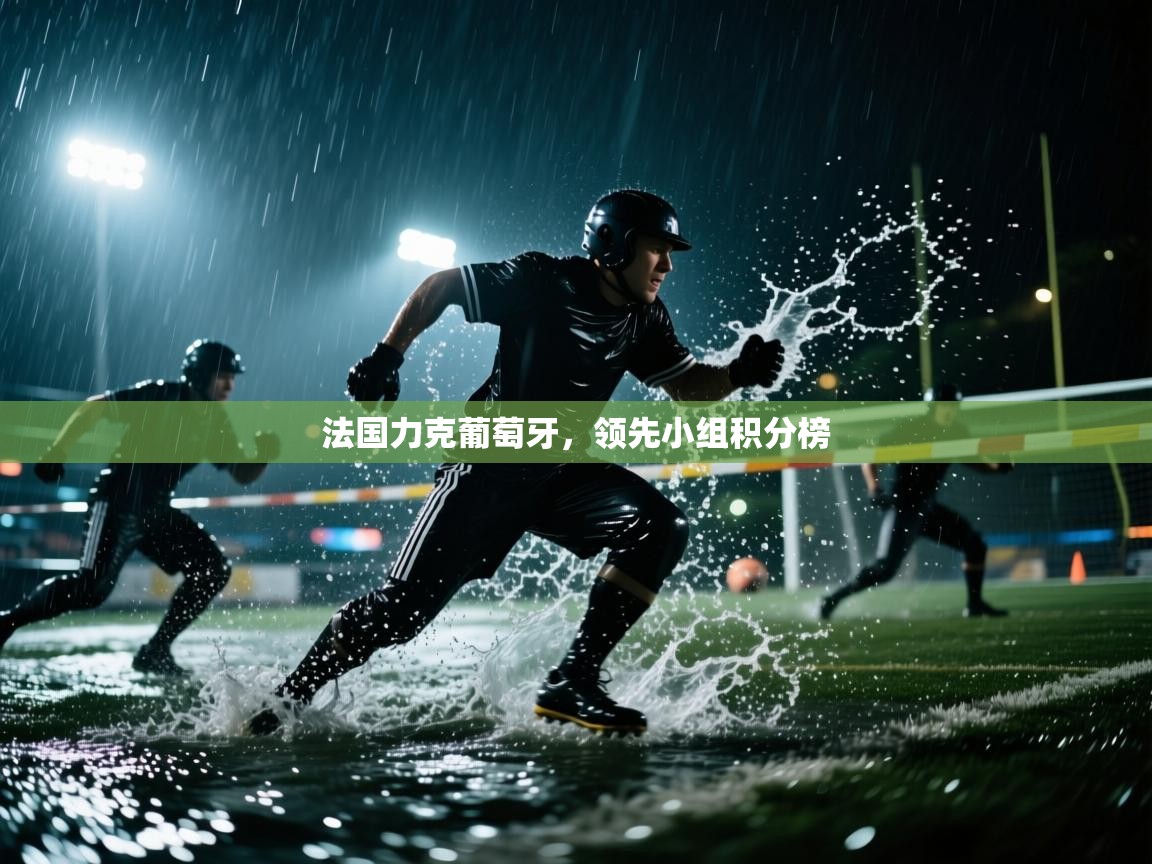 法国力克葡萄牙，领先小组积分榜  第2张