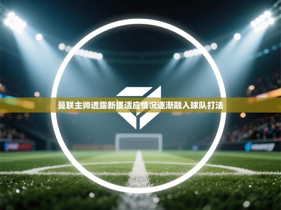 曼联主帅透露新援适应情况逐渐融入球队打法  第2张