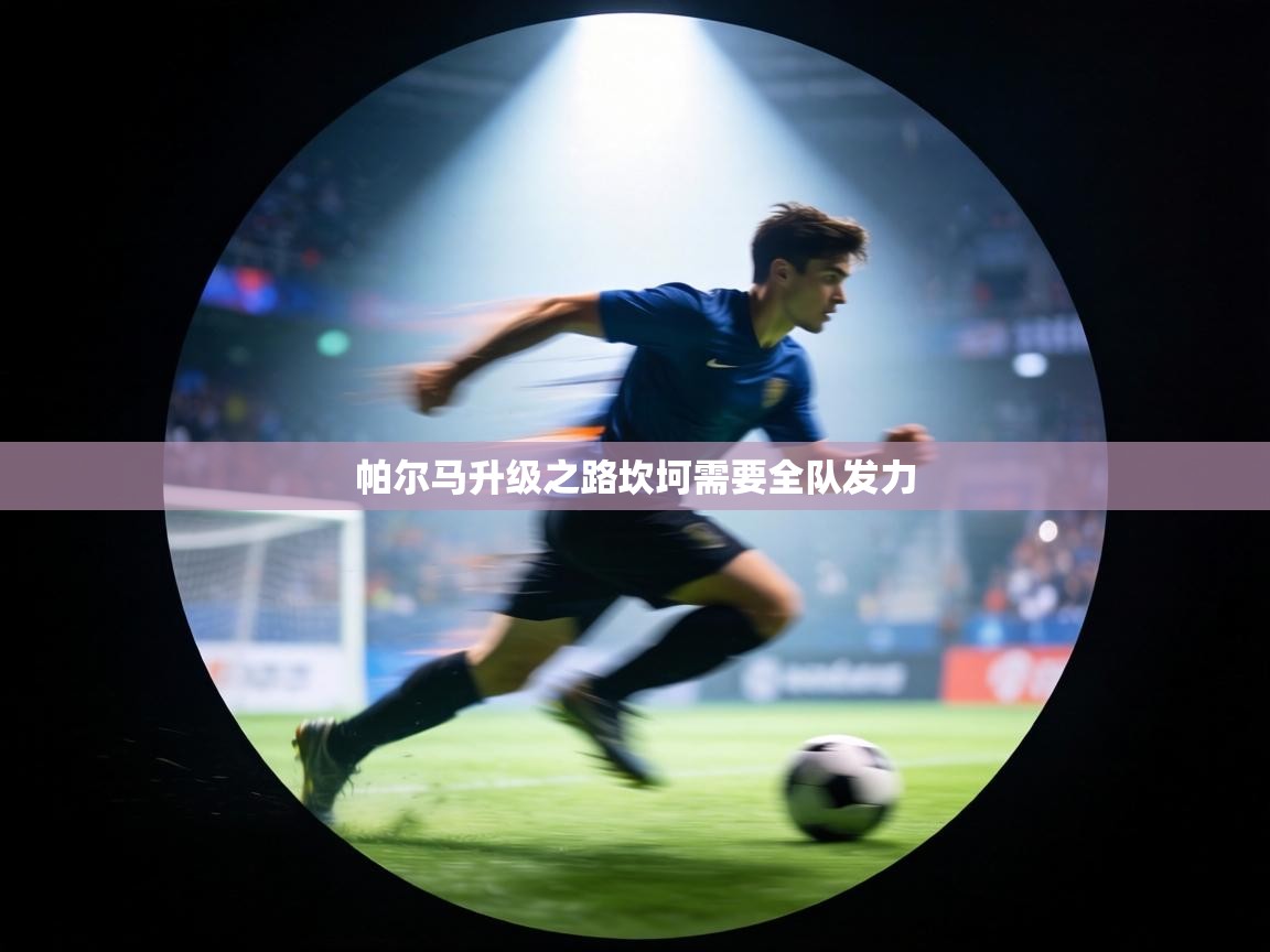 帕尔马升级之路坎坷需要全队发力 第1张